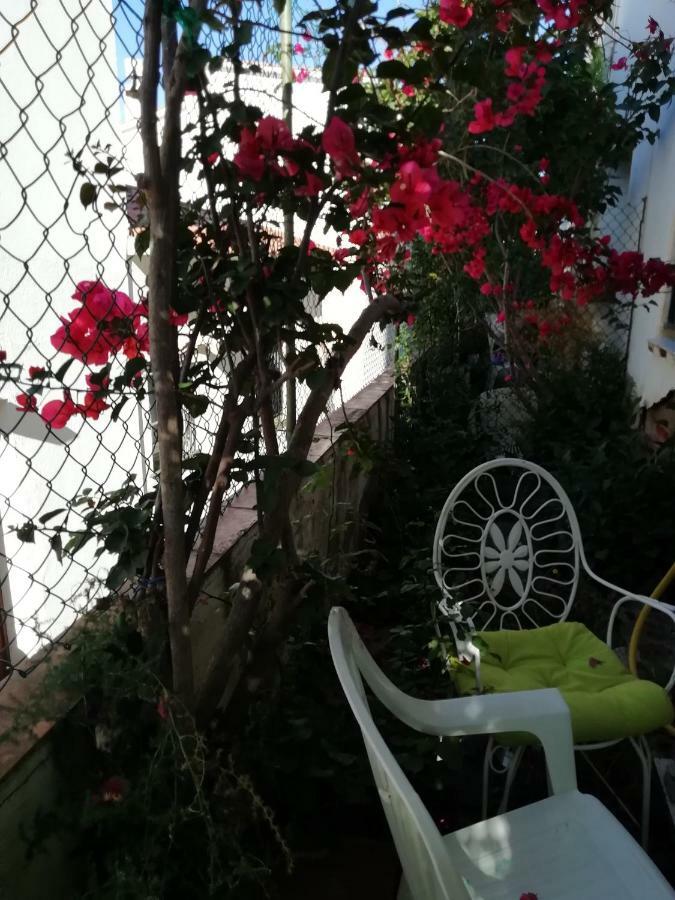 Can Pau Guesthouse Llança Zewnętrze zdjęcie